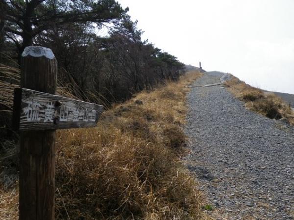 甑岳への入口の道路を挟んだ反対側に登山口があります。